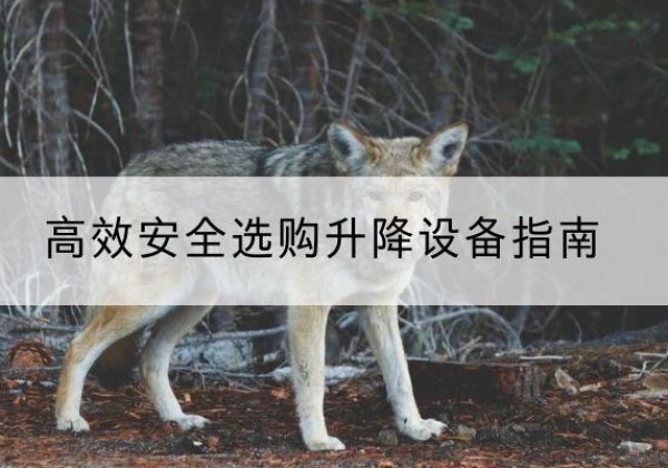 萧山升降货梯厂家推荐-*安全选购升降设备指南