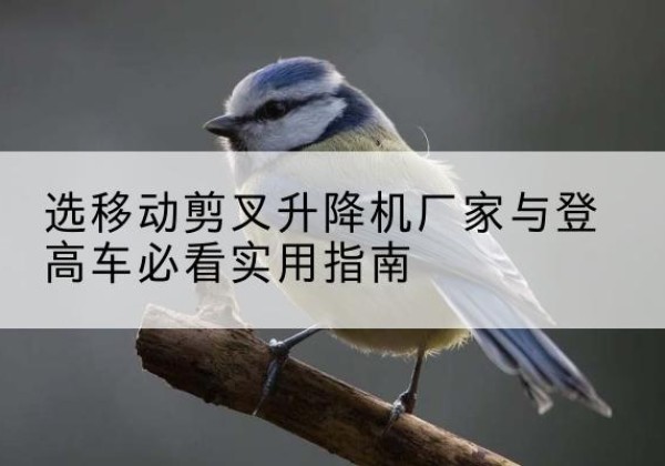 萧山电动升降机厂家-选移动剪叉升降机厂家与登高车必看实用指南