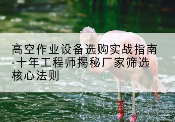 萧山剪叉式升降机厂家-高空作业设备选购实战指南-十年工程师揭秘厂家筛选核心法则
